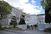 白鷺小学校