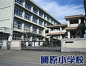 勝原小学校