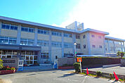 野里小学校
