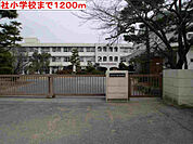 社小学校