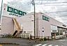 周辺：周辺環境-スーパー(160m)新鮮市場