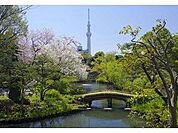 向島百花園まで400m 開園時間 - 午前9時 ～午後5時、イベント開催時は時間延長がある（入園 午後4時30分まで）[1] 休園日 - 年末年始（12月29日 ～1月3日 ）