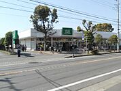 SUPER MARKET FUJI（スーパーマーケットフジ） 松ヶ丘店（922m）