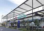 ピーコックストア 藤沢トレアージュ白旗店（320m）