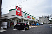 スギ薬局 平塚店（373m）