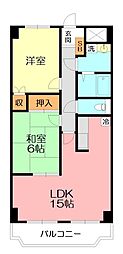 カサグランデ湘南 1SLDKの間取図画像