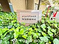 『今日これから...