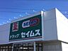 周辺：ドラッグストア 650m ドラッグストアセイムス鶴ヶ島一本松店