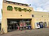 周辺：その他環境写真 1000m マミーマート北鴻巣店