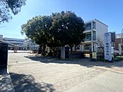 中学校 2800m 宇土市立鶴城中学校
