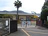 周辺：幼稚園・保育園 1500m 綱津保育園