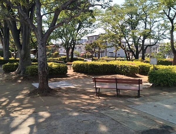 周辺を拡大表示