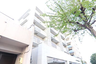 外観 外観