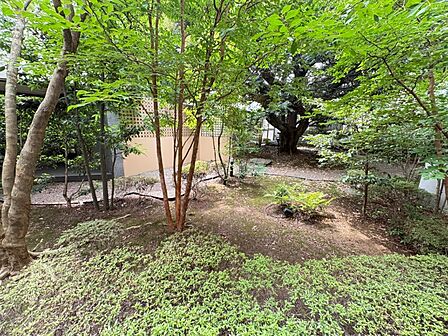 お部屋・バルコニーからはマンション敷地内の緑を眺めることができます。