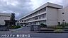 周辺：杉戸小学校 550m