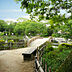 周辺：高槻城公園（1237m）