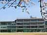 周辺：島本町立第一中学校（1050m）