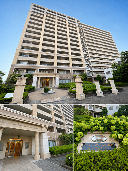 2026年7月撮影