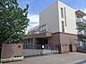 周辺：草加市立栄小学校 590m