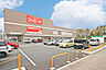 周辺：ツルハドラッグ仙台鶴ヶ谷店　徒歩6分