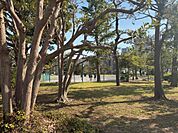 潮見運動公園まで約230ｍ