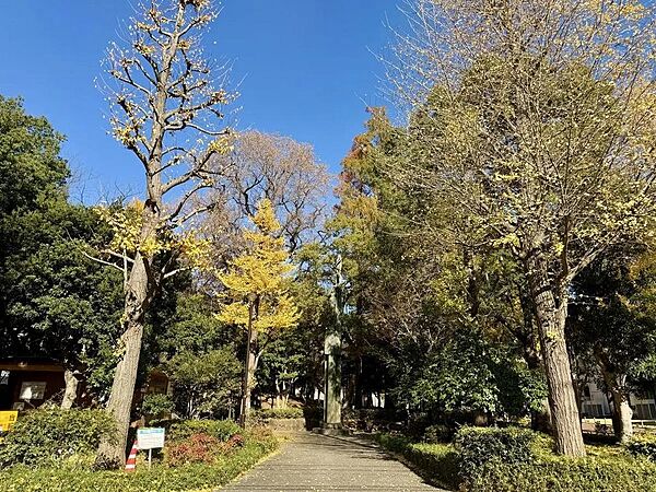 その他を拡大表示