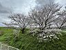 その他：【眺望】住戸からの眺望