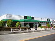 フードワン 座間店（514m）