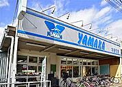YAMAKA（ヤマカ） 本町店（1154m）