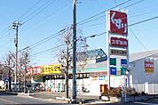 スギ薬局 厚木愛甲店（240m）