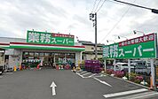 業務スーパー海老名中央店（602m）