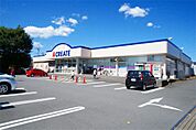 クリエイトS・D 下川入店（493m）