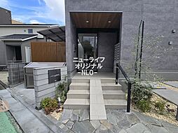 17 / 31