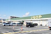 いなげや 厚木三田店（780m）