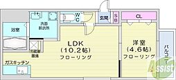 アリュール南6条 1LDKの間取図画像