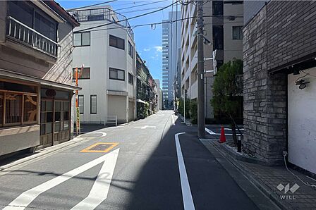 敷地の北東側前面道路(南東側から)