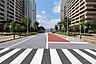 周辺：敷地南東側の前面道路(南西側から)