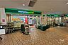 周辺：マルエツプチ(晴海店)の外観