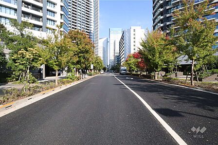 敷地南東側の前面道路(南西側から)