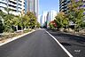 周辺：敷地南東側の前面道路(南西側から)