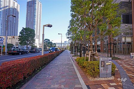 敷地北側の前面道路(西側から)