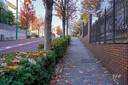 敷地北側の前面道路(日向坂)
