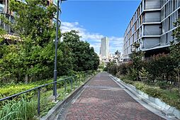 敷地内遊歩道