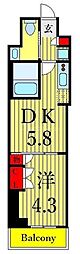 AZURETERRACE東陽町 1DKの間取図画像
