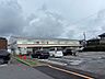 周辺：ドラッグセイムス柏花野井店 389ｍ 480m