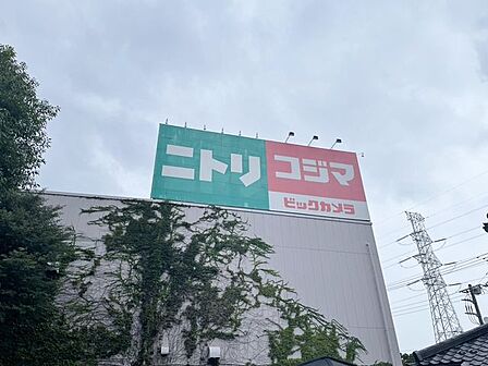 コジマ×ビックカメラ 柏店1600m