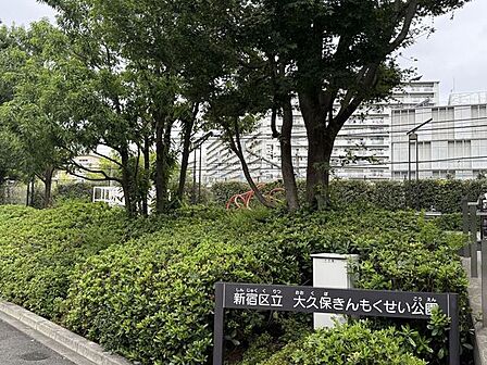 大久保きんもくせい公園 310m