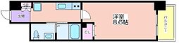 JINO新町 6階/-