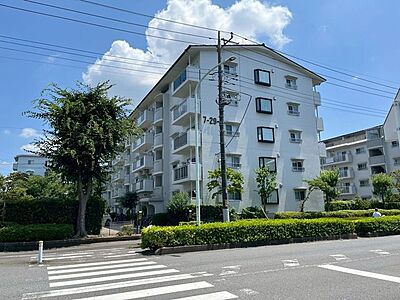 外観 外観