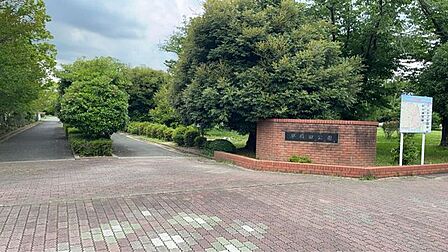 早稲田公園 480m